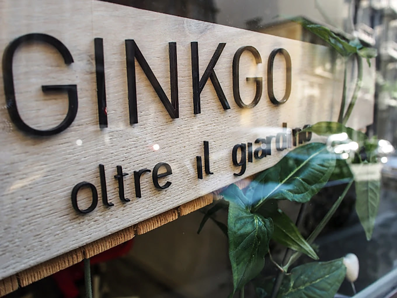 Ginkgo Team