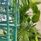 allestimento verde piante interno