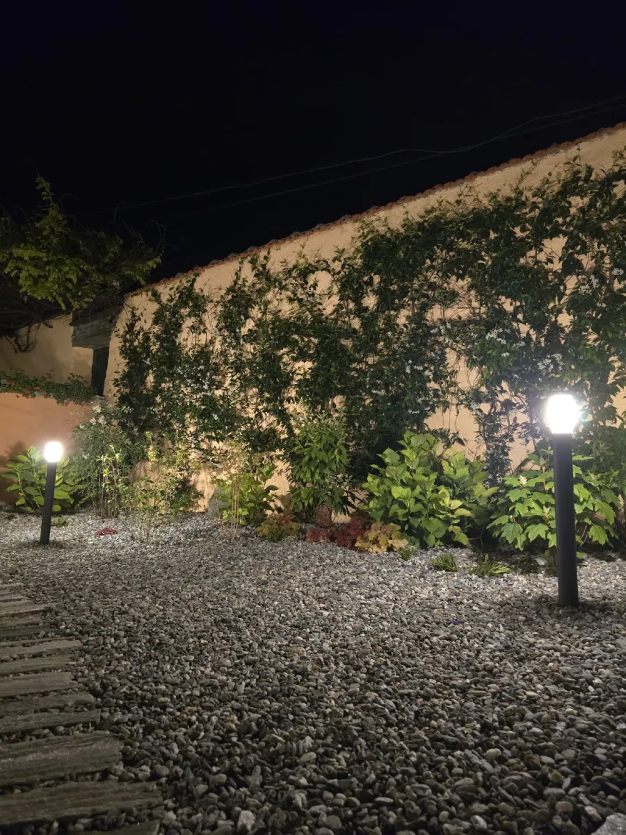 Visione notturna di un cortile in ghiaia con passi persi in pietra e rampicante su parete cieca