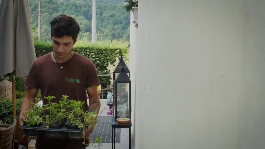 2 il giardino delle ortensie